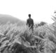 Hiro Clark and Le Labo